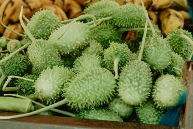 Agricultores serão beneficiados com 1º talonário fiscal em Magé