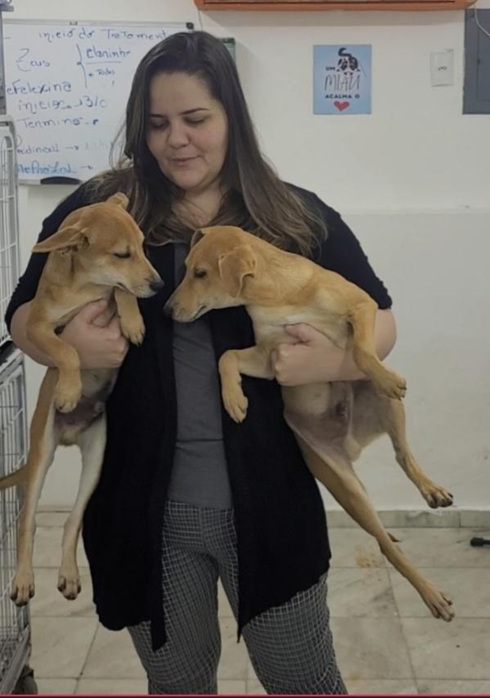 Cachorrinhos foram resgatados e estão sob os cuidados do instituto - Reprodução/Redes Sociais