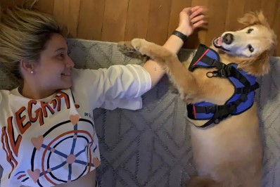 Fernanda Gentil lamenta morte de cachorra de estimação: 'Buraco dentro de mim'