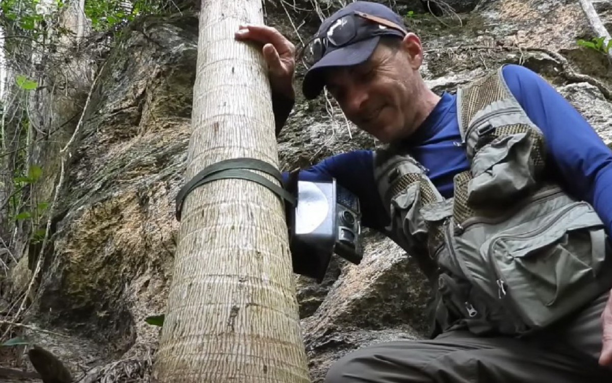 Equipamentos ficam instalados presos a árvores e funcionam de maneira automática com sensor de presença