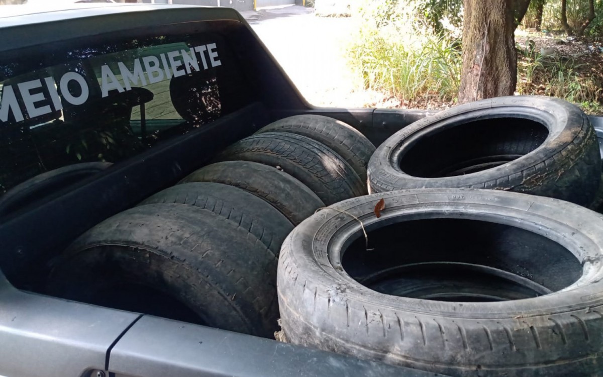 Meio Ambiente recolhe pneus descartados irregularmente às margens do Rio Bananal, em BM - Divulgação