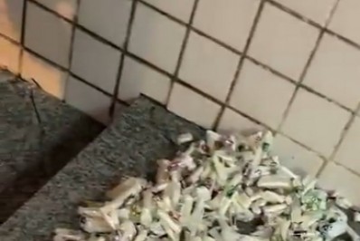 Mulher é presa com 820 pinos de cocaína em Japeri