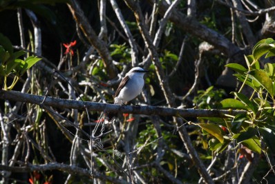 Angra conquista 1º lugar em ações de conservação ambiental