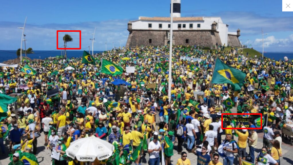 Imagens de 2021 - Reprodu&ccedil;&atilde;o