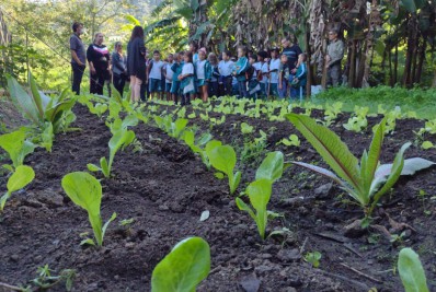 Alunos de escola municipal de Saquarema visitam sede da Secretaria de Agricultura