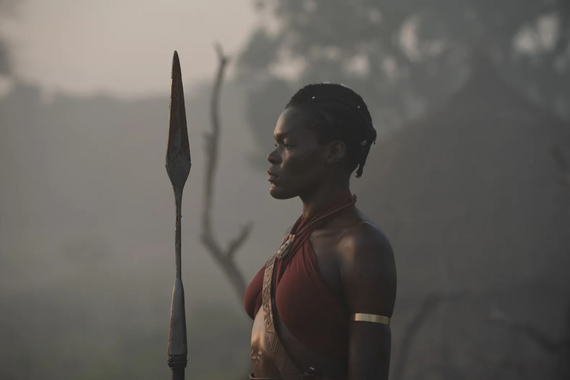 Cenas do filme 'The Woman King', com Viola Davis - Divulgação