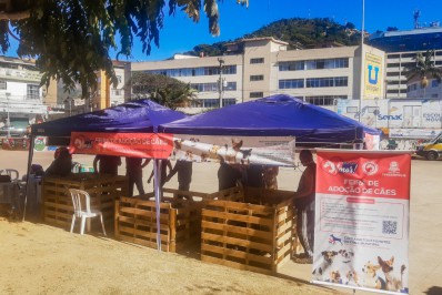 ‘Adote um Amor’: Feira realizada pela COPBEA registra 3 adoções