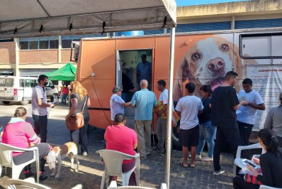 Mais de 500 pets já foram atendidos pelo castramóvel contratado pela prefeitura