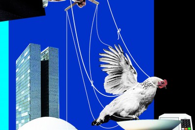 A PEC kamikaze e o voo da galinha 