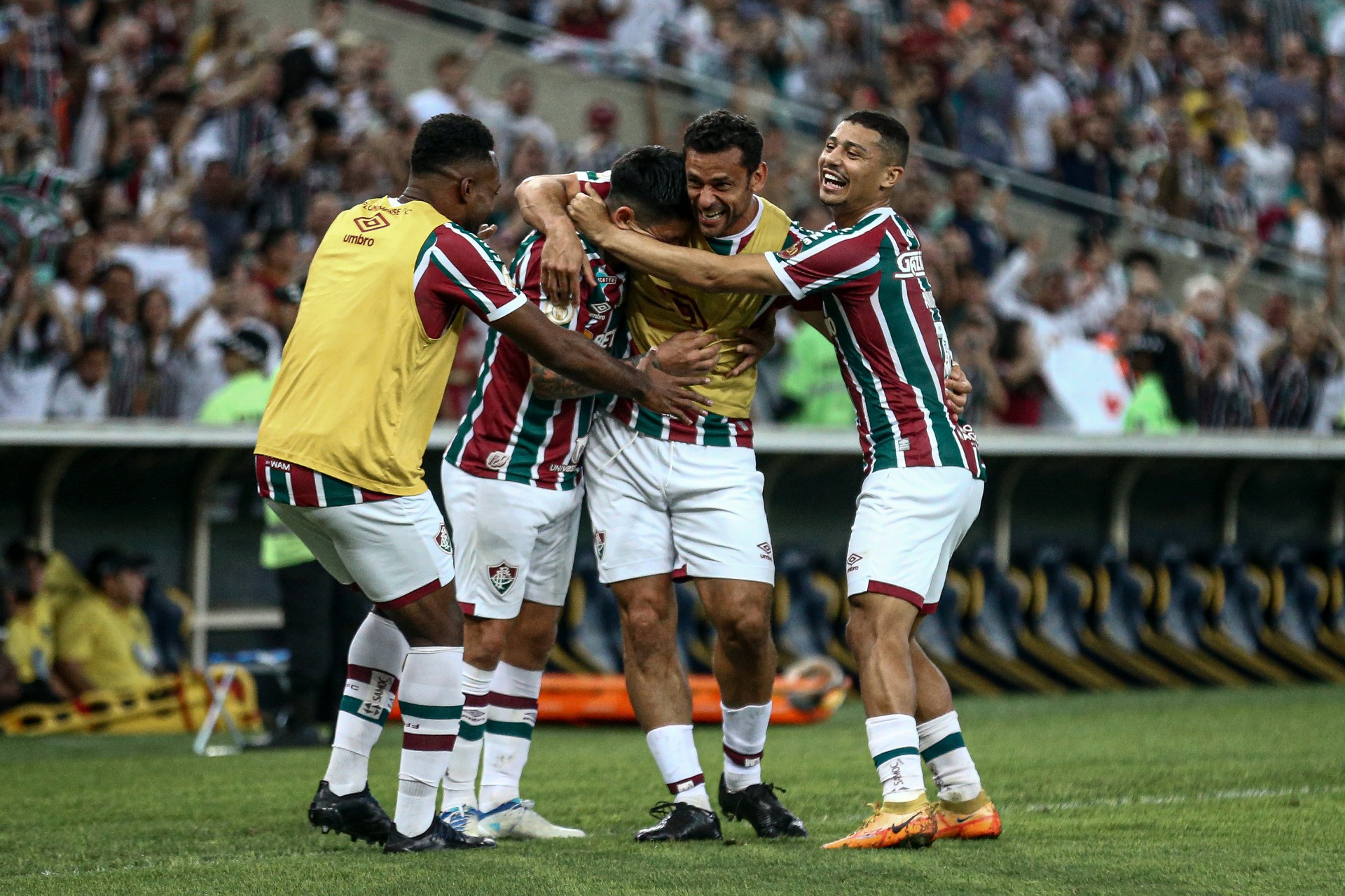 Fluminense derrotou o Cear&aacute; na despedida de Fred - Lucas Mercon/Fluminense