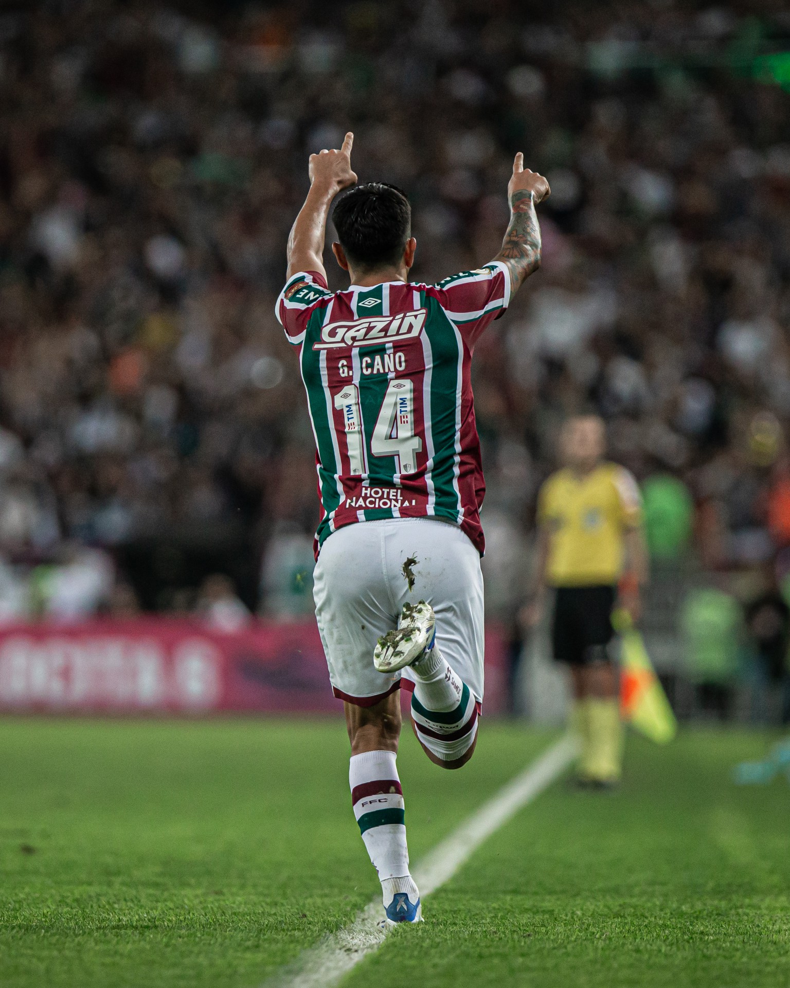 Fluminense derrotou o Cear&aacute; na despedida de Fred - Marcelo Gon&ccedil;alves/Fluminense