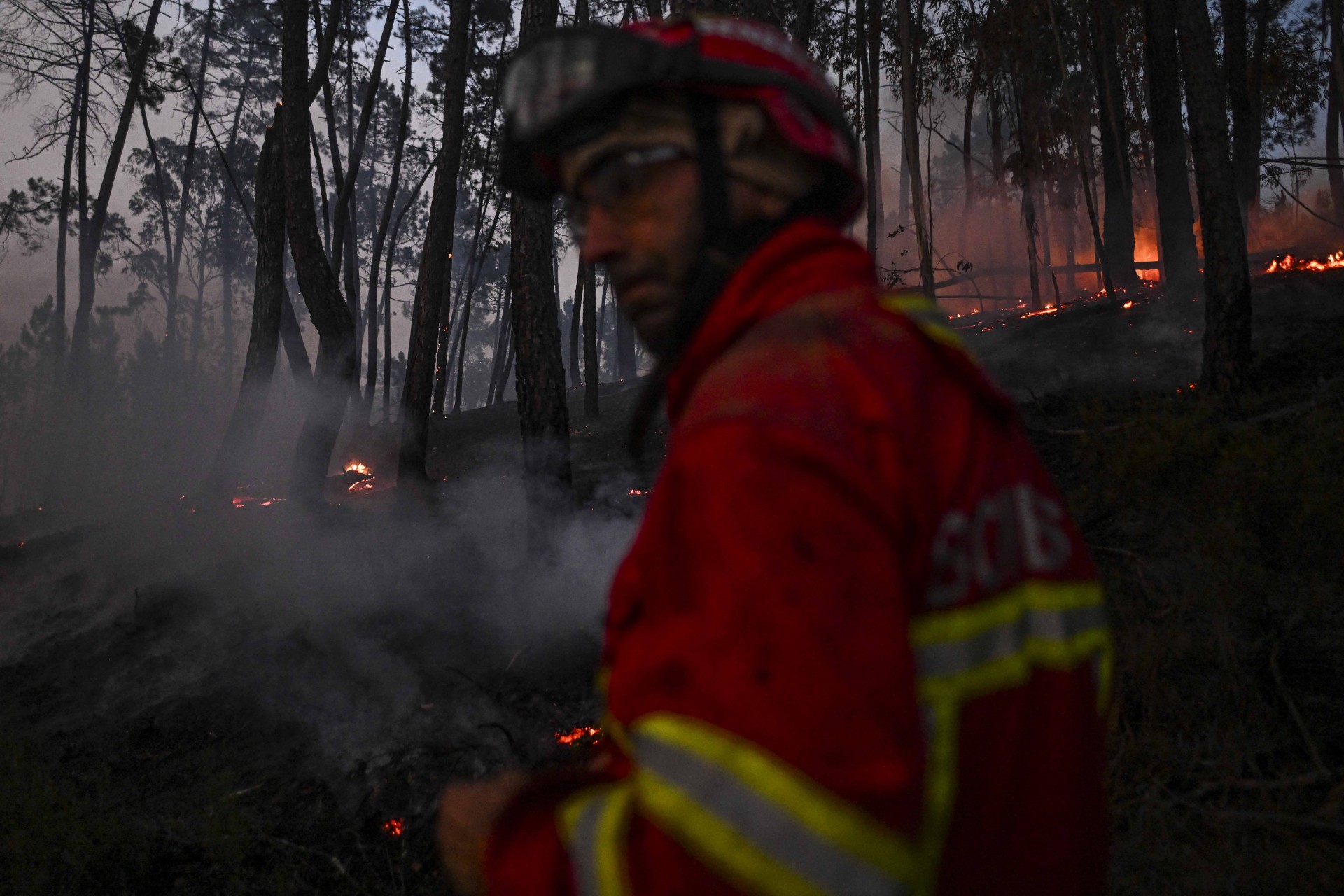 Cerca de 1.500 bombeiros foram mobilizados para apagar três incêndios florestais que duram mais de 48 horas no centro e norte de Portugal.  - AFP