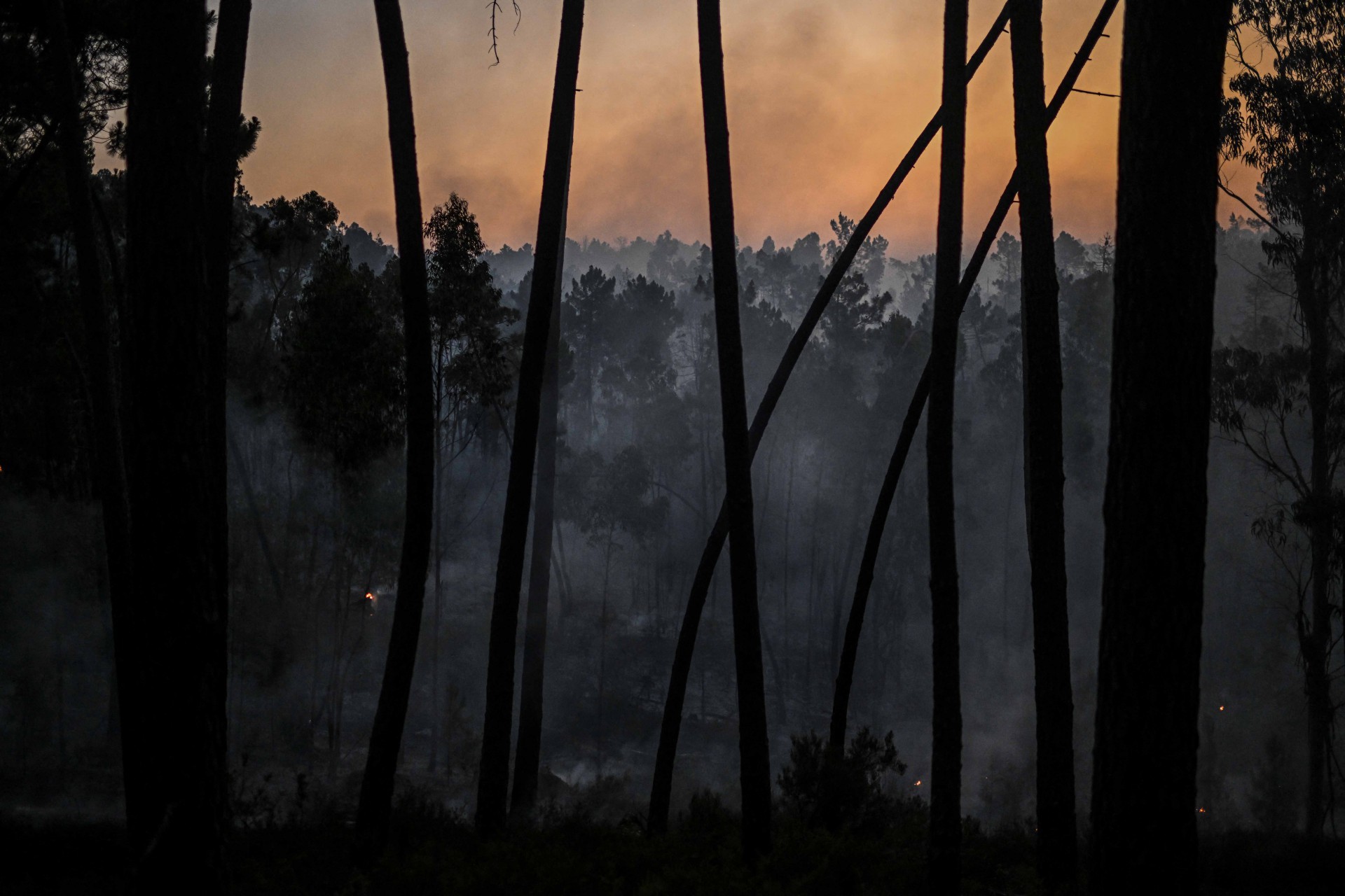 Cerca de 1.500 bombeiros foram mobilizados para apagar três incêndios florestais que duram mais de 48 horas no centro e norte de Portugal.  - AFP