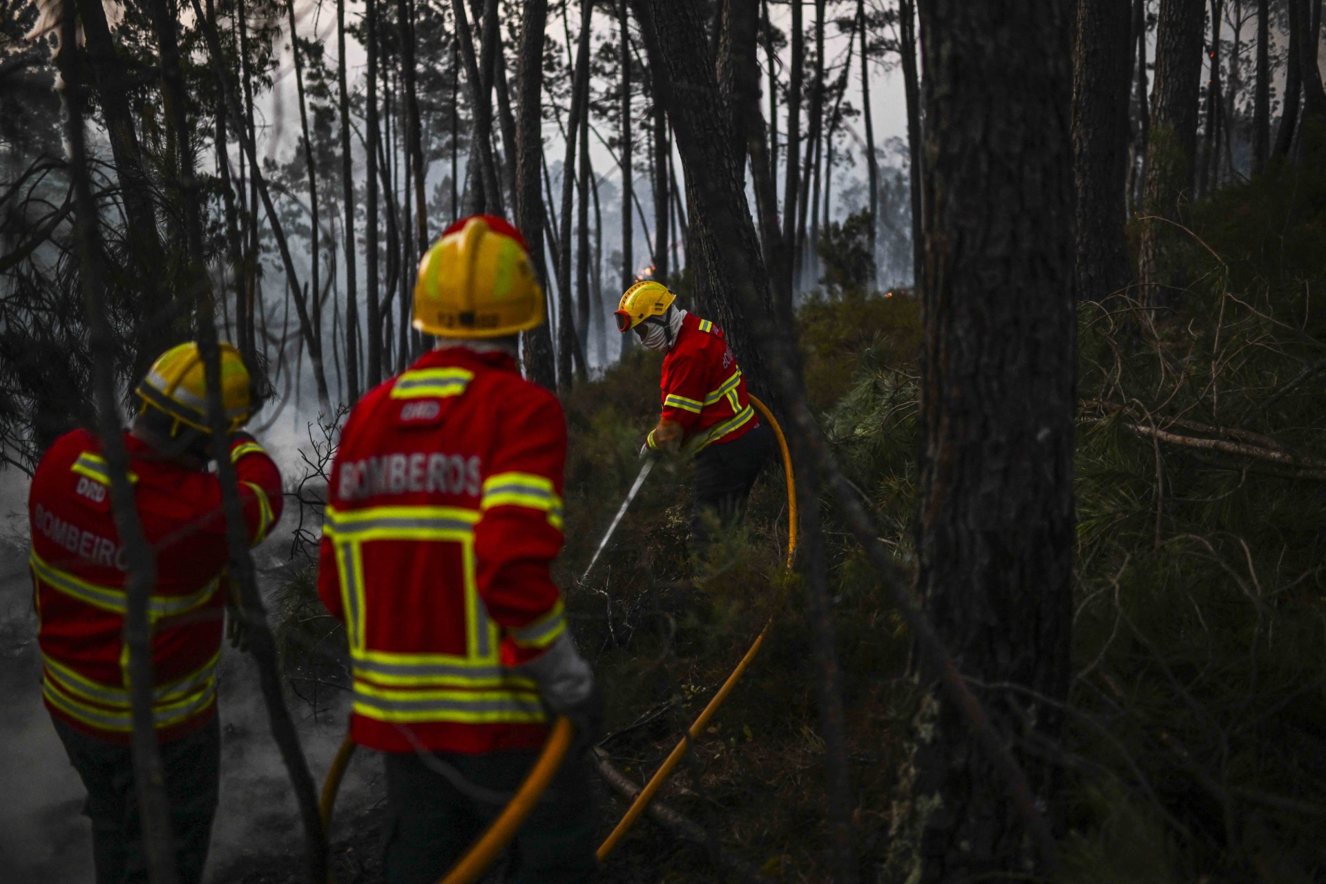 Cerca de 1.500 bombeiros foram mobilizados para apagar três incêndios florestais que duram mais de 48 horas no centro e norte de Portugal.  - AFP