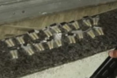 Dois homens são presos e menor é apreendido com drogas em Cabo Frio