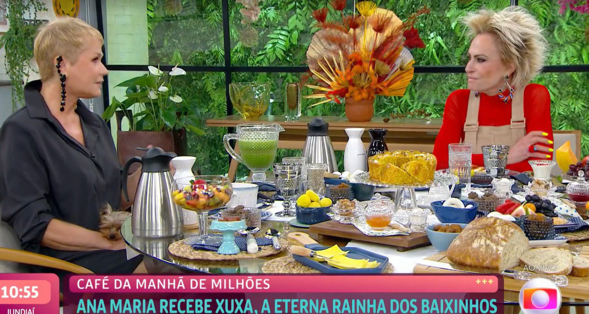  - Reprodução da TV Globo