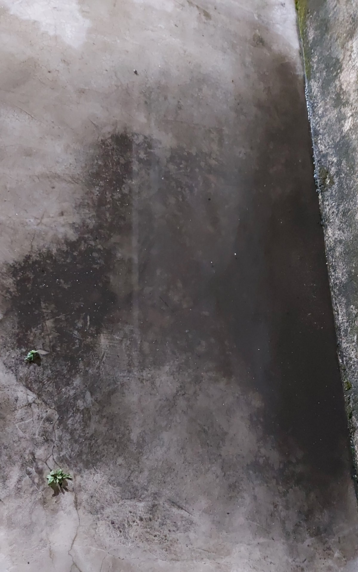 Registros feitos do p&oacute; preto por moradores em Volta Redonda