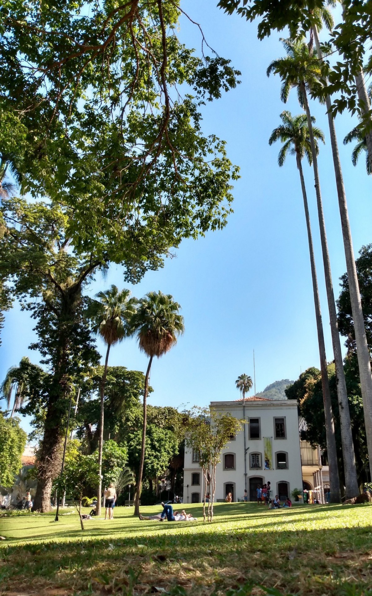 Arrai&aacute; Arte com Ziriguidum chega ao Museu da Rep&uacute;blica, no Catete

