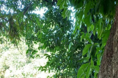 Livro aborda bastidores da política, tratando sobre ética, romance e conflitos