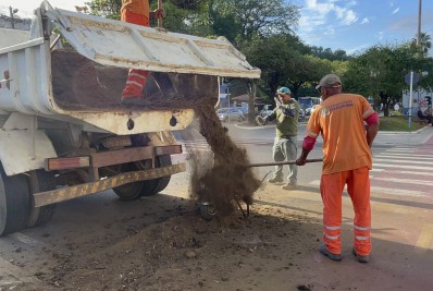 Canteiros do centro da cidade são adubados e Assistência Social encerra inscrições para habitação nesta sexta