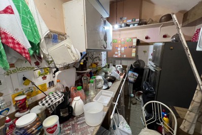 Polícia Civil resgata 60 gatos em situação de maus-tratos em cobertura na Zona Sul do Rio