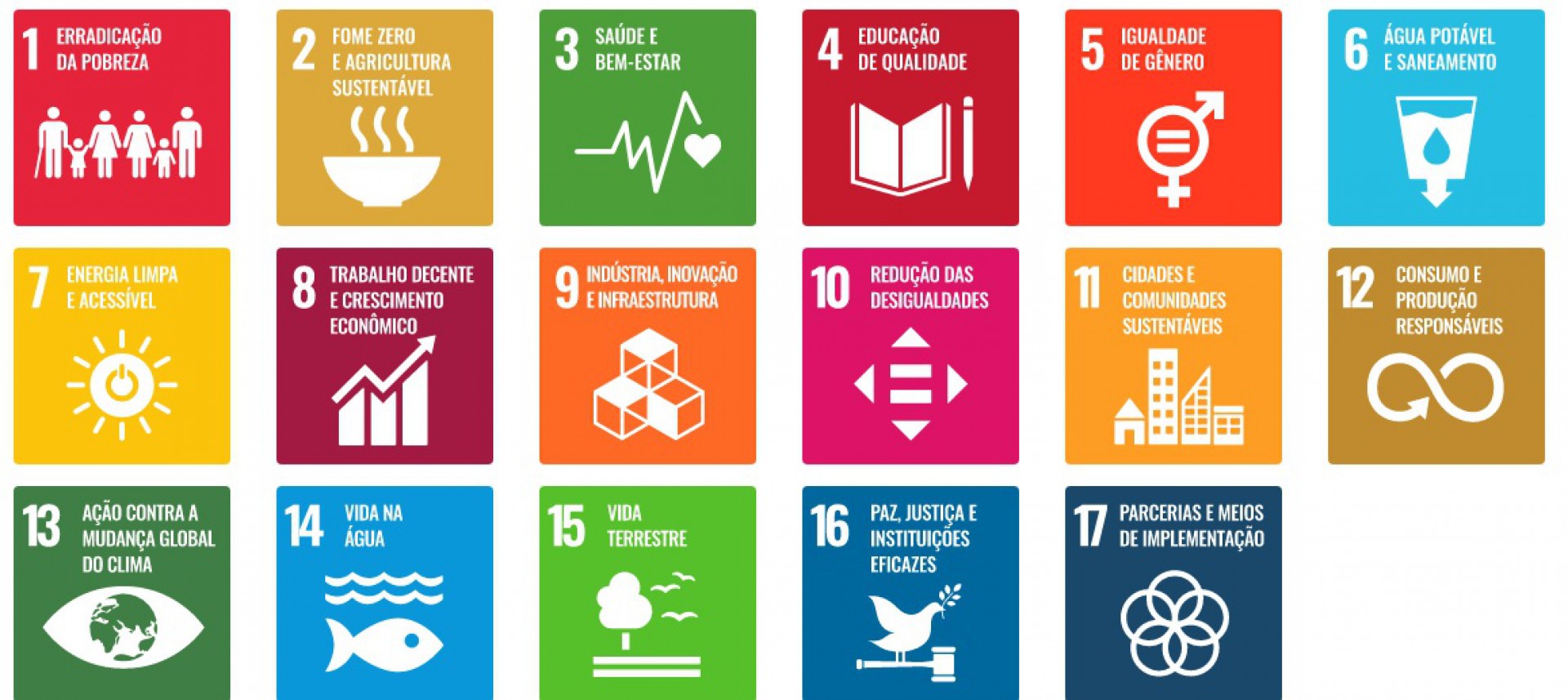 Ao todo, foram avaliados 17 objetivos e 169 metas que fazem parte de um acordo assinado pelos 193 estados-membros da ONU, incluindo o Brasil - Divulga&ccedil;&atilde;o/IDSC-Br