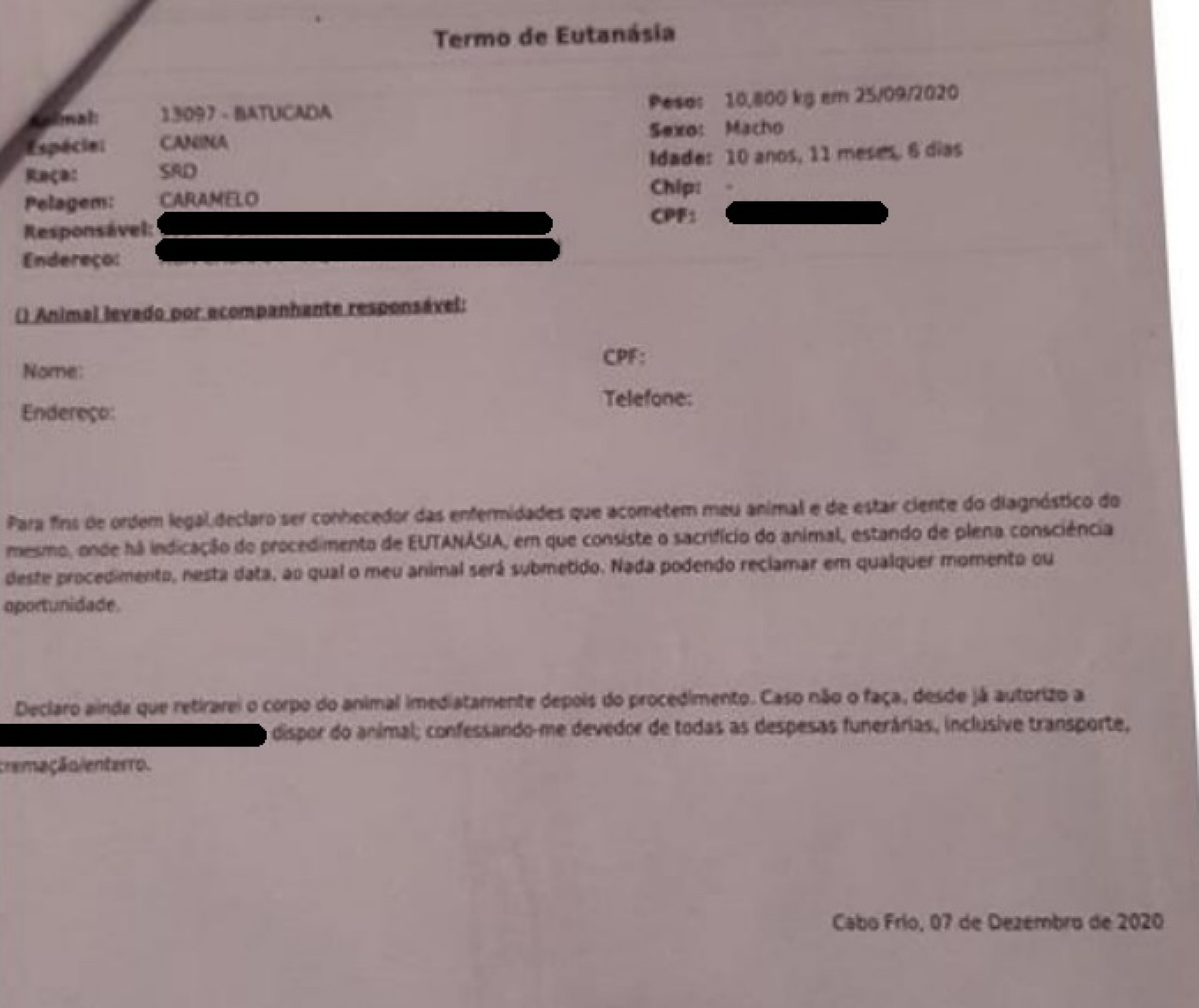 Documento da eutanásia - Ludmila Lopes (RC24h)