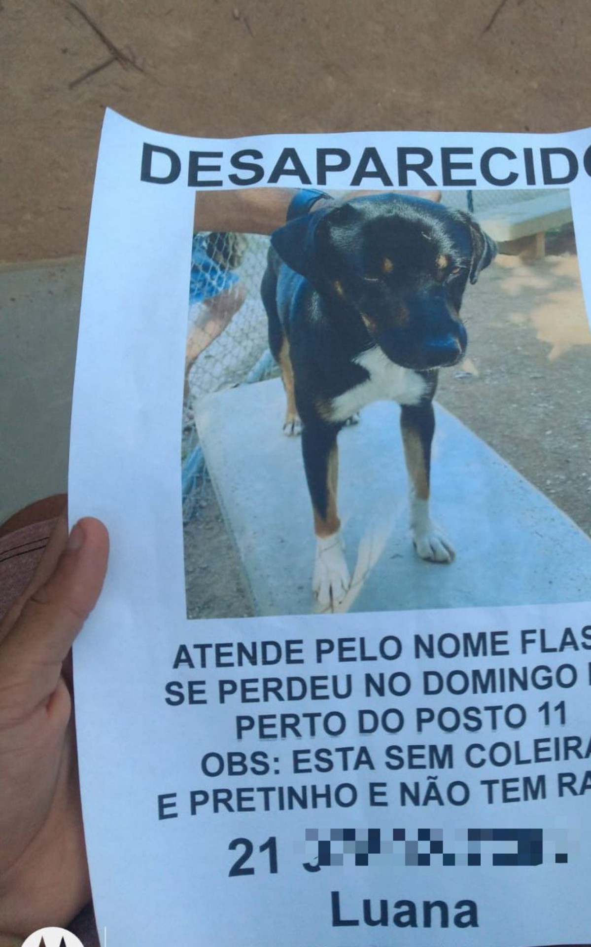 Policiais do Leblon Presente devolvem cachorro perdido para a dona