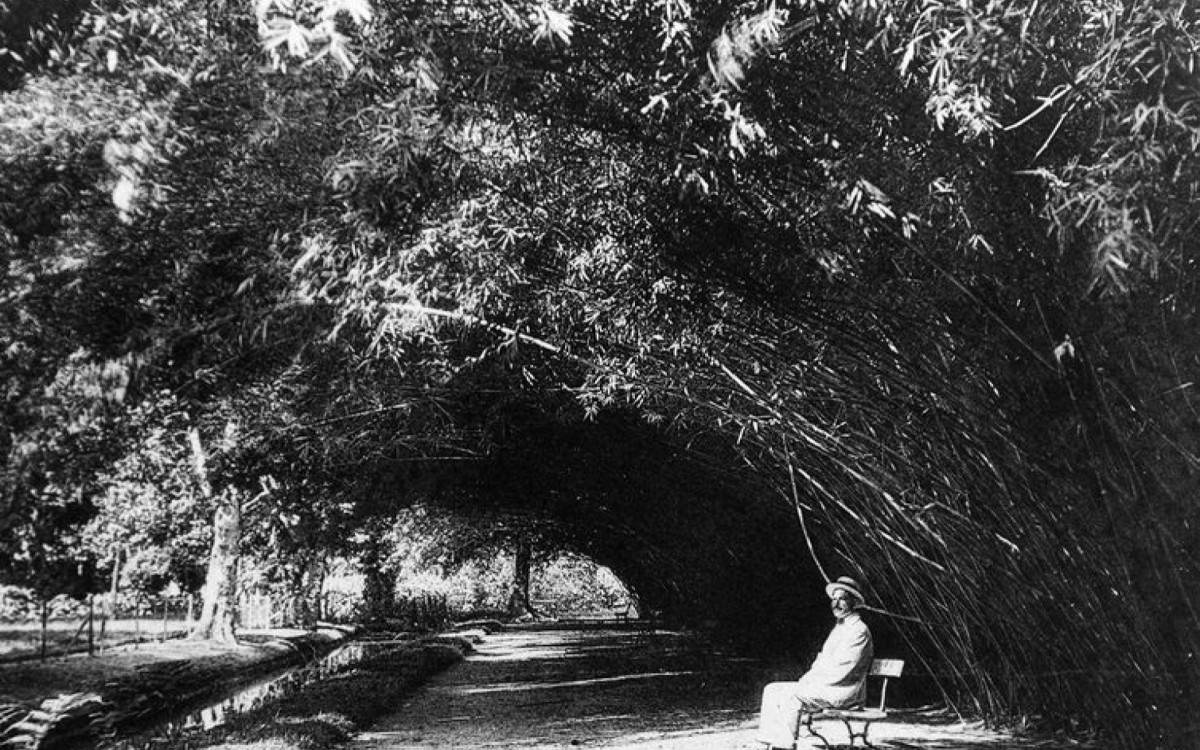 Aleia de Bambus do Jardim Bot&acirc;nico do Rio de Janeiro, em fotografia de 1922