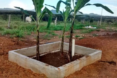Projeto de fossa de bananeira do Meio Ambiente de Magé é selecionado pela Funasa