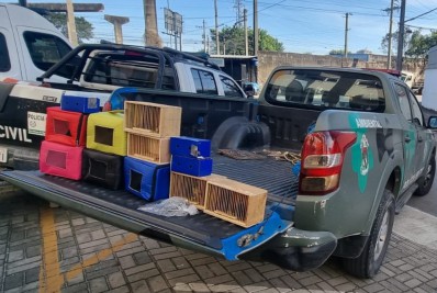 Animais silvestres são apreendidos durante feira em Duque de Caxias