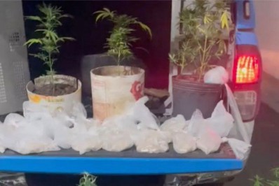 PM encontra cocaína e plantação de maconha em Cabo Frio 