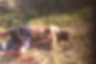 Homem foi encontrado morto a tiros na divida de Araruama e Iguaba 