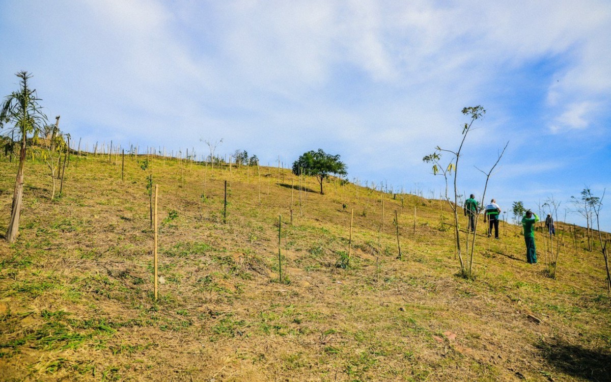 S&atilde;o Jo&atilde;o de Meriti est&aacute; entre as 16 cidades contempladas pelo programa Florestas do Amanh&atilde;