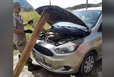 Bombeiros resgatam jibóia dentro de um carro em Itaipuaçu
