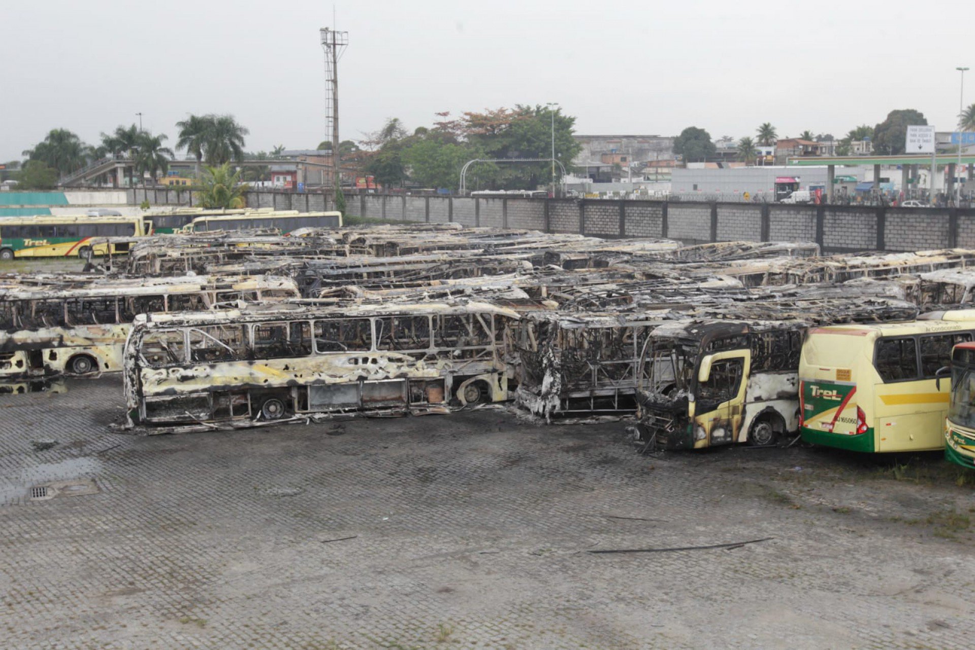 Incêndio destruiu mais de 40 ônibus na garagem da empresa Trel, em Caxias - Reginaldo Pimenta / Agência O DIA