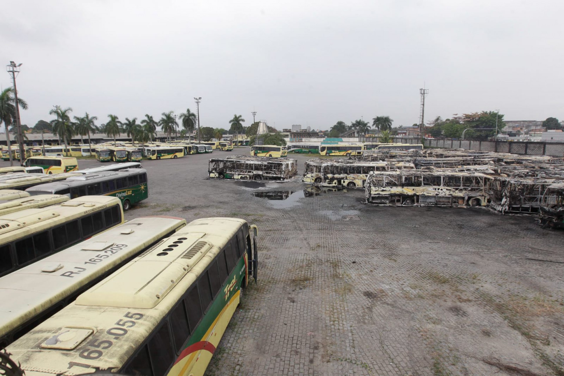Incêndio destruiu mais de 40 ônibus na garagem da empresa Trel, em Caxias - Reginaldo Pimenta / Agência O DIA