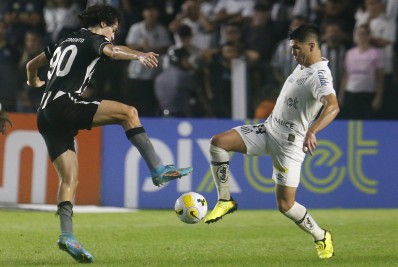 Comentarista da Globo demonstra preocupação com Botafogo: 'Não precisa jogar bem, tem que pontuar'