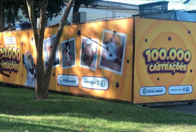 Rio alcança a marca de 100 mil animais castrados em sete meses