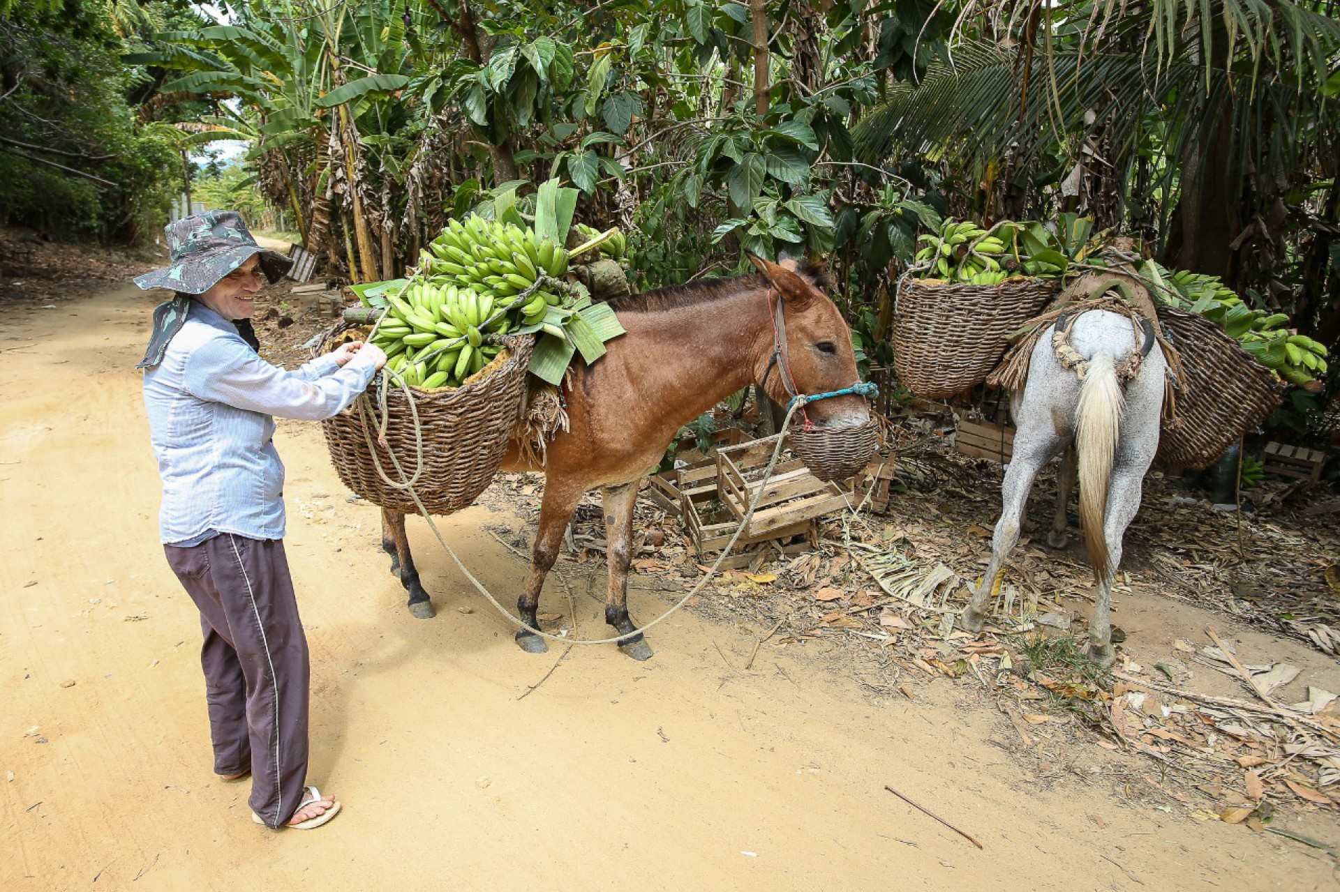 Parque de Exposições de Saquarema recebe a 1ª Feira do Produtor Rural no sábado (30) - Divulgação/Prefeitura de Saquarema