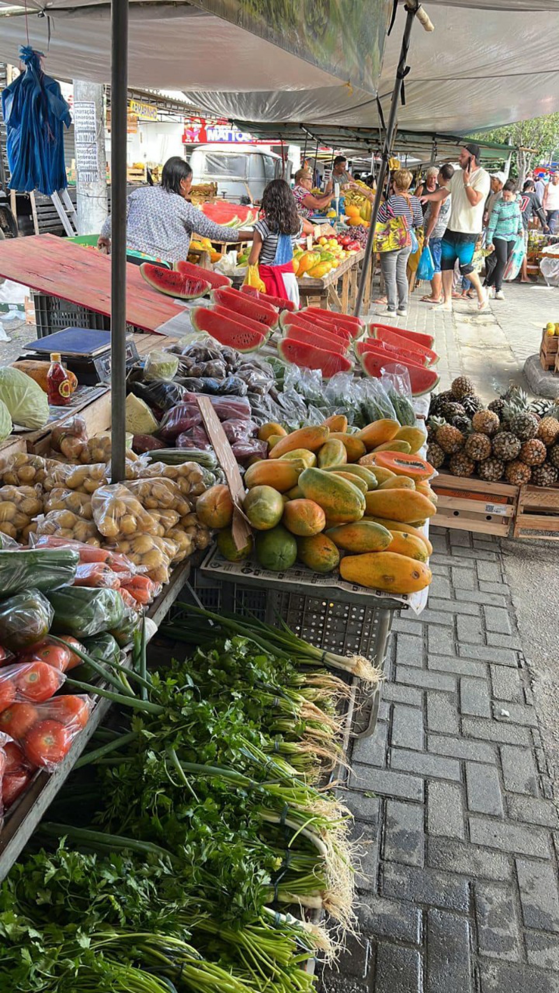 Parque de Exposições de Saquarema recebe a 1ª Feira do Produtor Rural no sábado (30) - Divulgação/Prefeitura de Saquarema