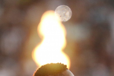 Jeffinho, do Botafogo, está na mira do Lyon, diz jornal francês