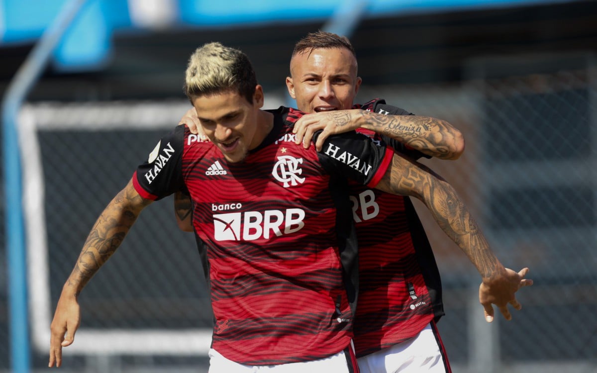 Avai x Flamengo - Campeonato Brasileiro - Ressacada - 24-07-2022-3 -  Gilvan de Souza/Flamengo