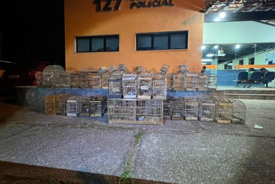 Guarda Municipal de Búzios faz maior apreensão de animais Silvestre em cativeiro na história da cidade