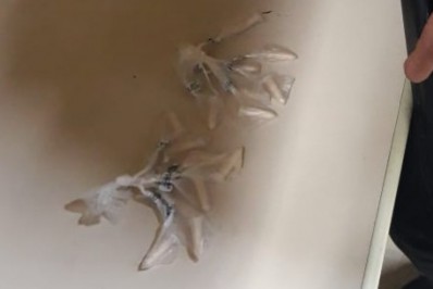 Homem é preso por tráfico de drogas no Jacaré, em Cabo Frio