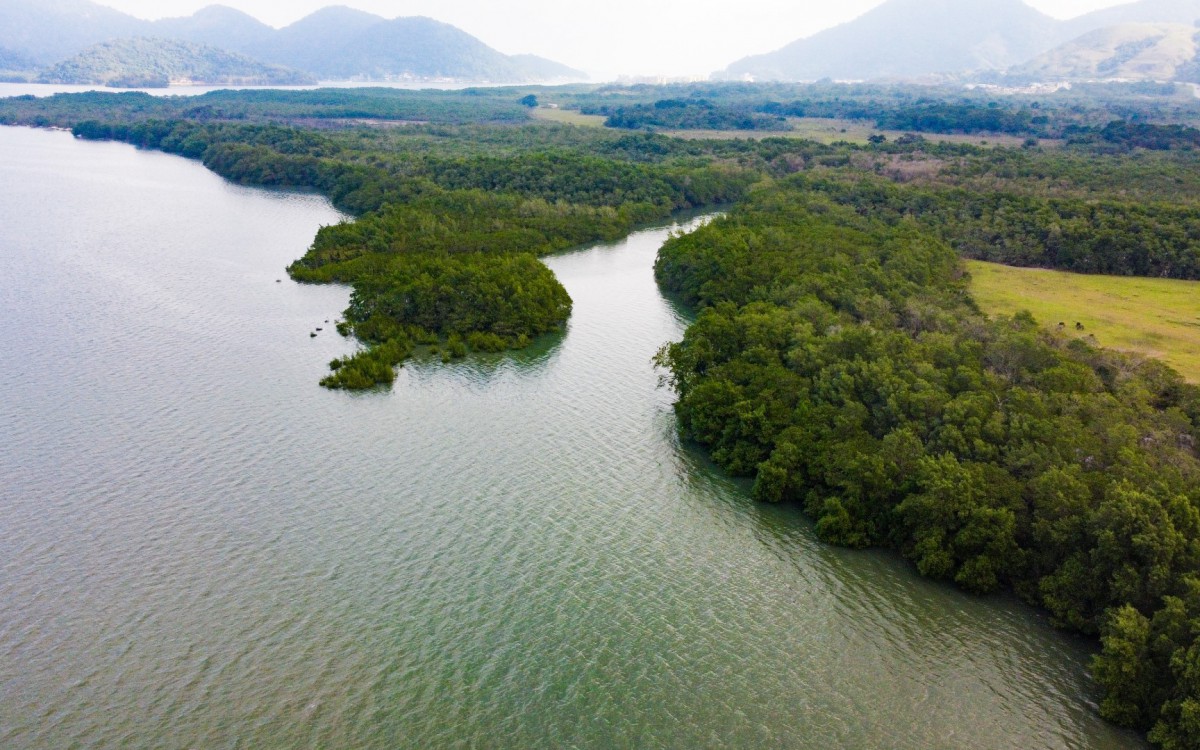 O projeto inédito tem como objetivo o reflorestamento desta área, 10 mil metros quadrados de manguezal, localizado na área conhecida como Frontal das Ilhas, em Coroa Grande.  - Foto: Divulgação (Prefeitura de Itaguaí)