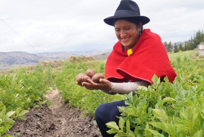 Ministros da Agricultura da América Latina e da África discutem questões relativas à segurança alimentar