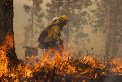 Metodologia com IA identifica focos de incêndio com antecedência