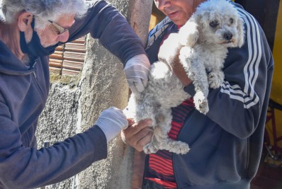 Porto Real inicia vacinação antirrábica a domicílio