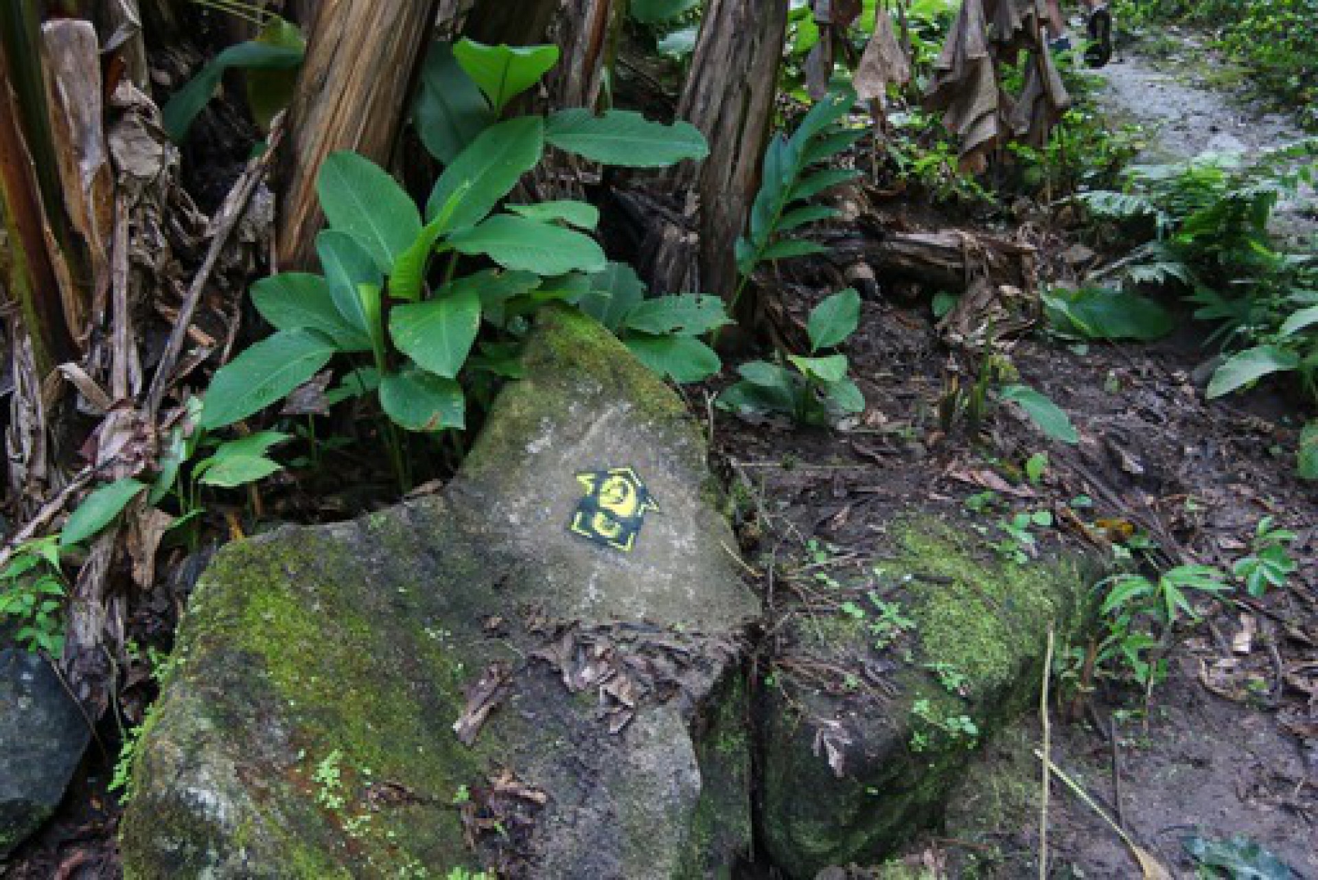 TranSaquarema corta todo o município e será dividida em oito trechos - Divulgação/Prefeitura de Saquarema